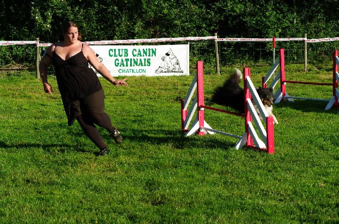 du Clan Castelau - Séléctif au Grand Prix de France agility