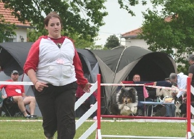 du Clan Castelau - Grand Prix de France d'Agility