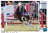  - Finale du Grand Prix de France Agility