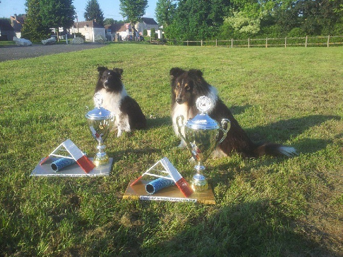 du Clan Castelau - National Agility