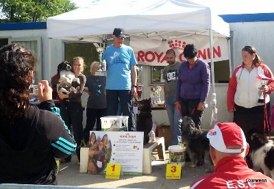 du Clan Castelau - Séléctif du Grand Prix de France d'Agility