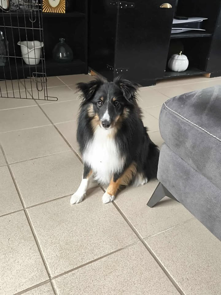 Valcore night du Clan Castelau